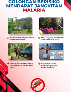 Malaria: Golongan yang Berisiko Mendapat Jangkitan Malaria